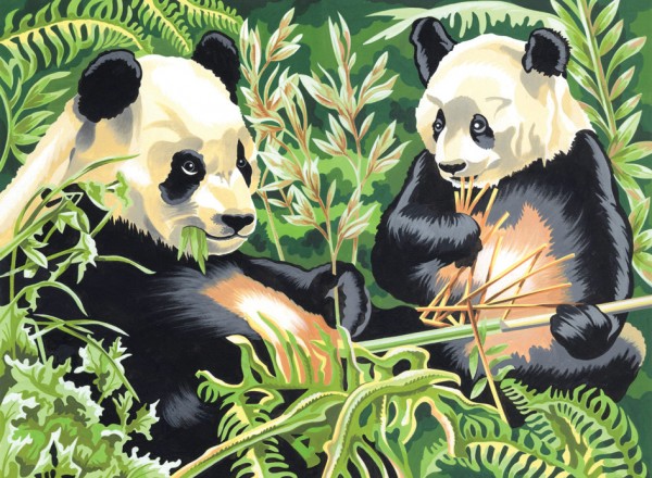 Reeves Malen nach Zahlen Panda Pandas