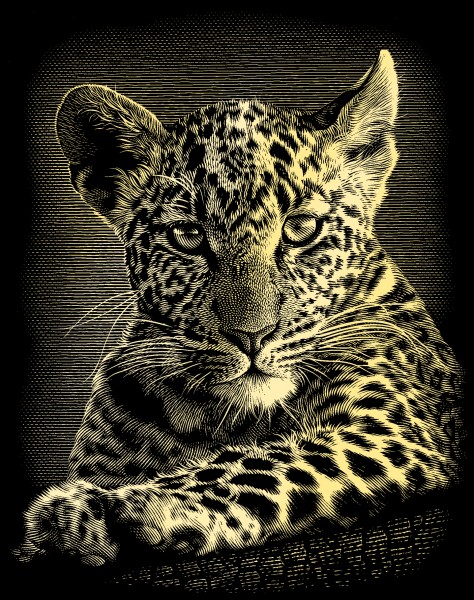 Reeves Gravurfolien Gold Leoparden Portrait